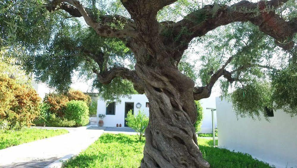 Niriides Villas Selinitsa Ngoại thất bức ảnh
