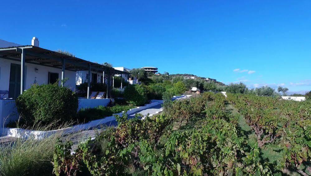 Niriides Villas Selinitsa Ngoại thất bức ảnh